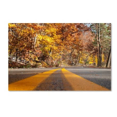 Kurt Shaffer 'Autumn Road' Canvas Art,12x19